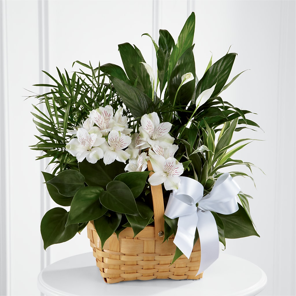 Peace & Serenity Dishgarden – KAY'S FLORAL AFFAIR, Monett MO