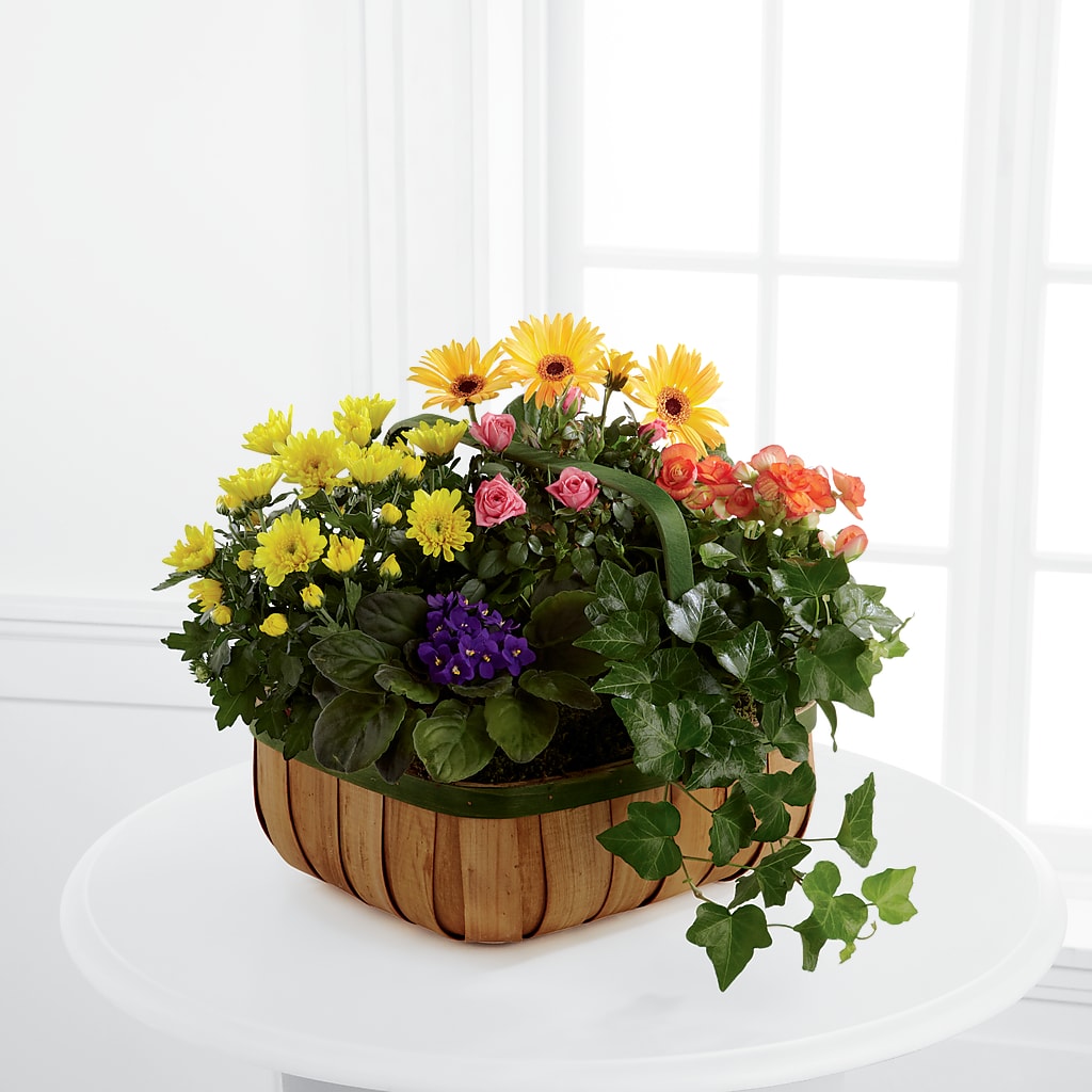 Gentle Blossoms Basket – KAY'S FLORAL AFFAIR, Monett MO