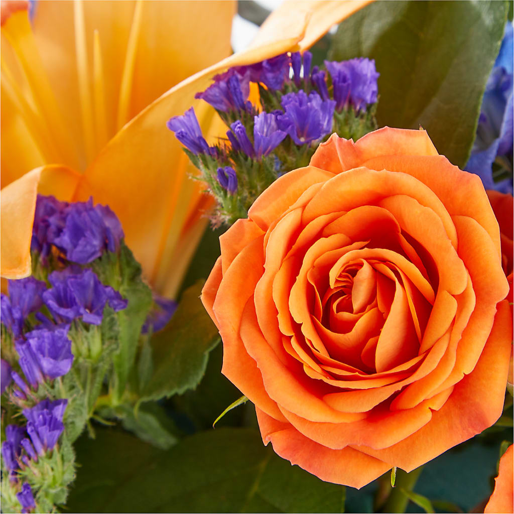 Radiant Citrus Box Bouquet – KAY'S FLORAL AFFAIR, Monett MO
