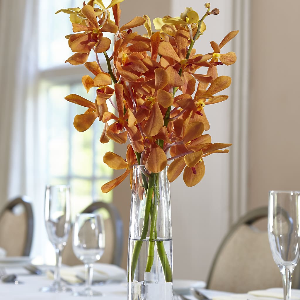Orange Mokara Bud Vase – KAY'S FLORAL AFFAIR, Monett MO