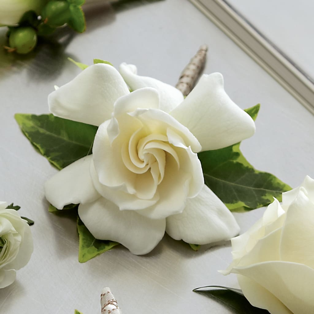 Gardenia Boutonniere – KAY'S FLORAL AFFAIR, Monett MO