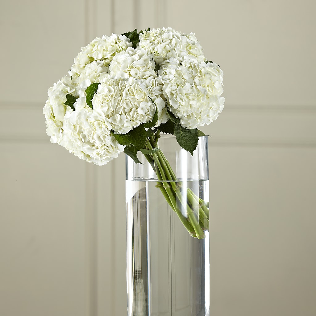 White Hydrangea Hand-Tied Bouquet – KAY'S FLORAL AFFAIR, Monett MO
