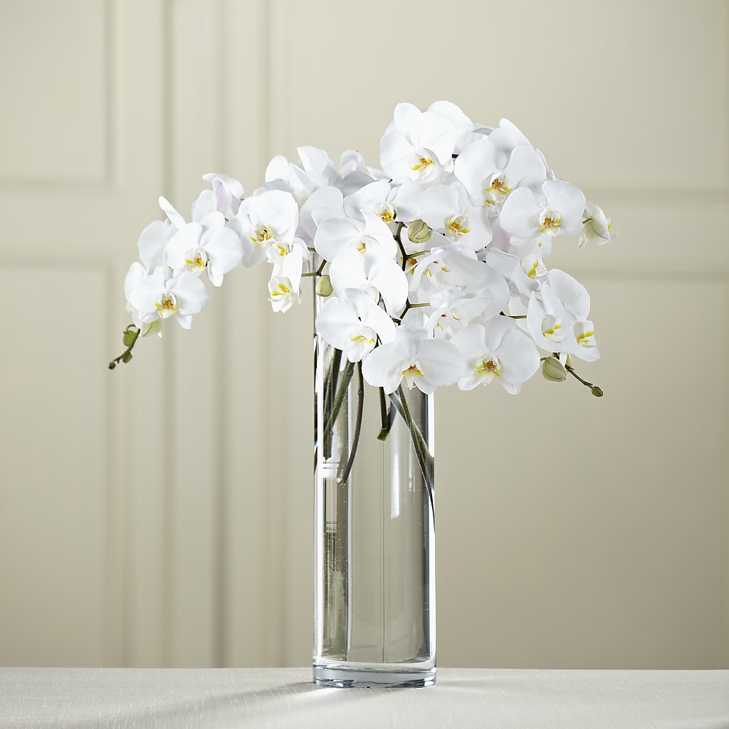 White Phalaenopsis Bouquet – KAY'S FLORAL AFFAIR, Monett MO