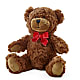 Adorable Plush Bear – KAY'S FLORAL AFFAIR, Monett MO