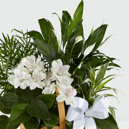 Peace & Serenity Dishgarden – KAY'S FLORAL AFFAIR, Monett MO