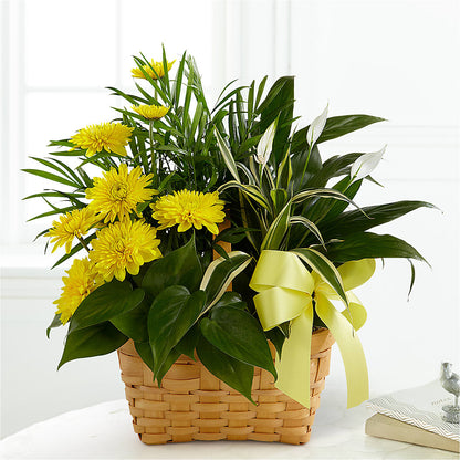 Loving Light Dishgarden – KAY'S FLORAL AFFAIR, Monett MO