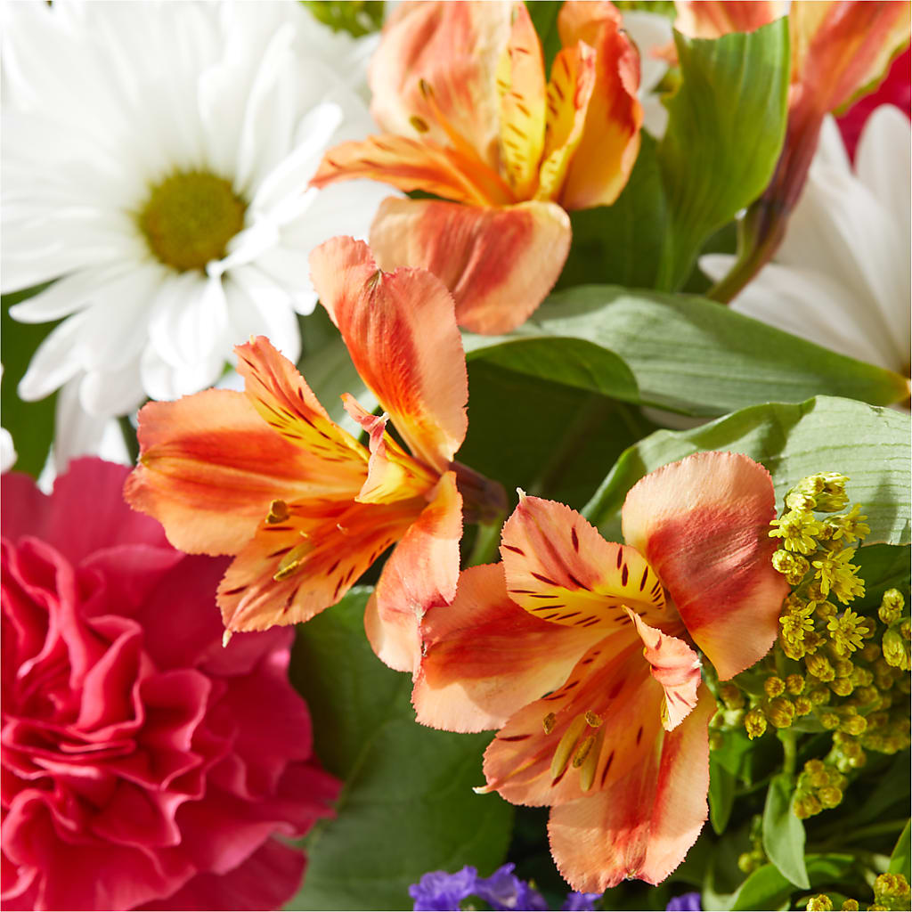 Oopsie Daisy Box Bouquet – KAY'S FLORAL AFFAIR, Monett MO