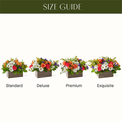 Oopsie Daisy Box Bouquet – KAY'S FLORAL AFFAIR, Monett MO
