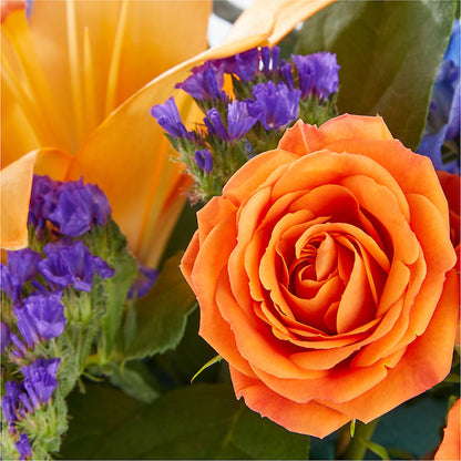 Radiant Citrus Box Bouquet – KAY'S FLORAL AFFAIR, Monett MO