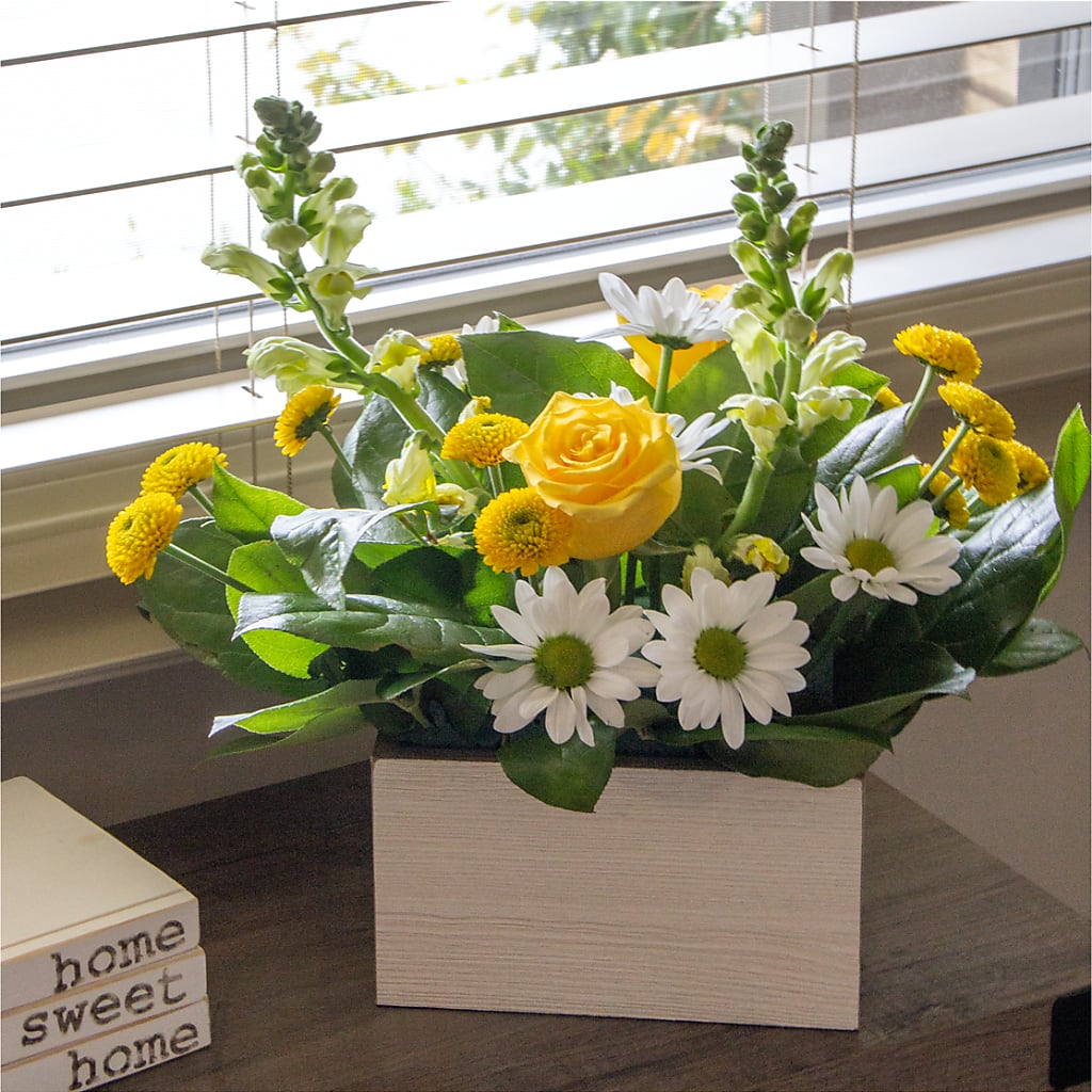 Sun Salutation Box Bouquet – KAY'S FLORAL AFFAIR, Monett MO