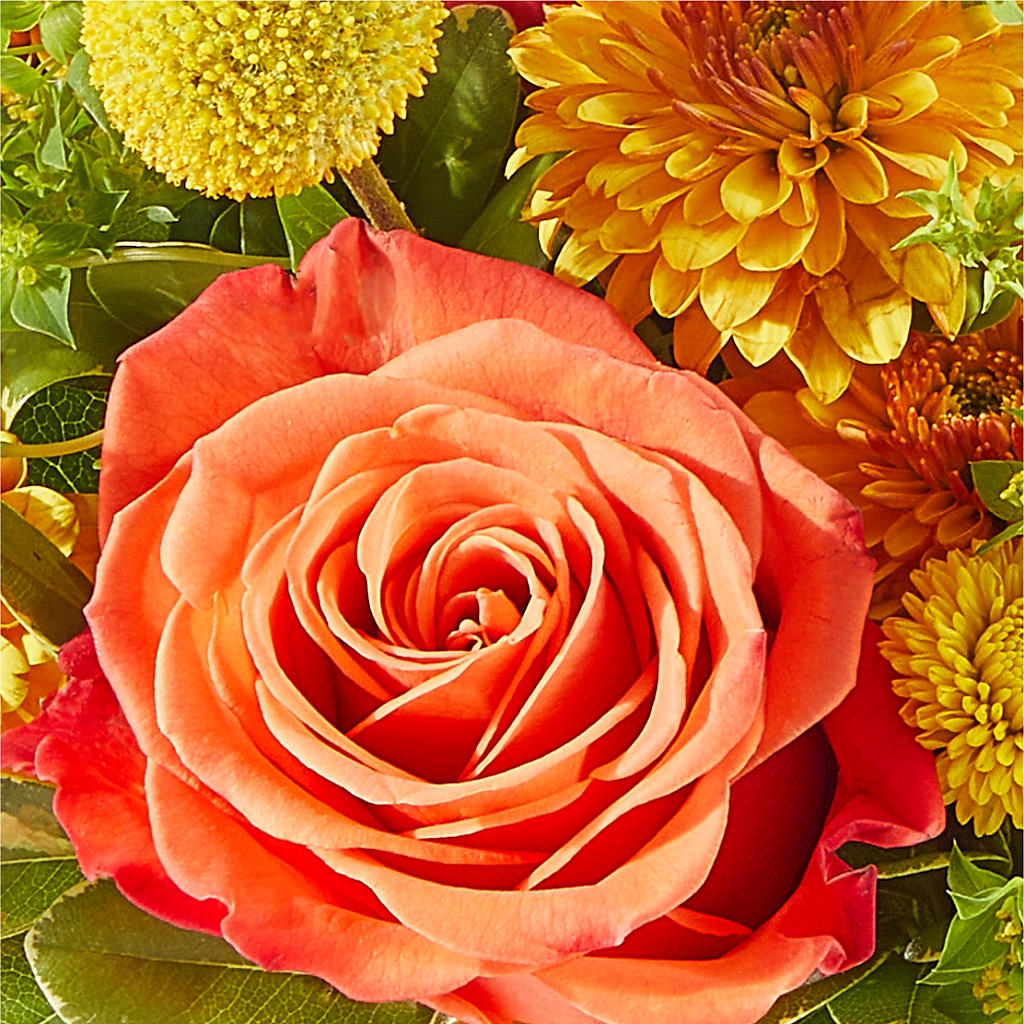 Gourdgeous Pumpkin – KAY'S FLORAL AFFAIR, Monett MO