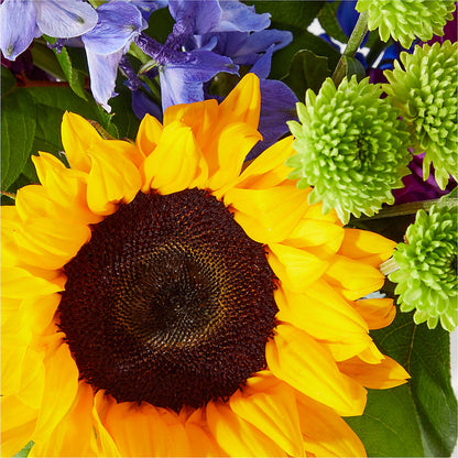 Catching Rays Bouquet – KAY'S FLORAL AFFAIR, Monett MO