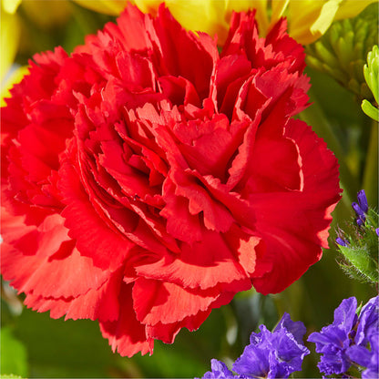 Brighter Days Bouquet – KAY'S FLORAL AFFAIR, Monett MO