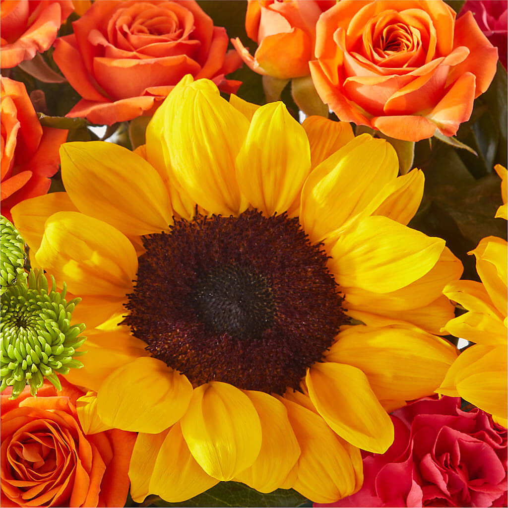 Sun-drenched Blooms Box Bouquet – KAY'S FLORAL AFFAIR, Monett MO