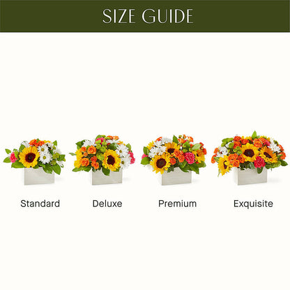 Sun-drenched Blooms Box Bouquet – KAY'S FLORAL AFFAIR, Monett MO