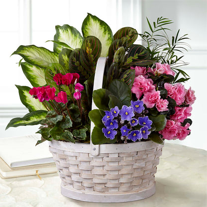 Peaceful Garden Planter – KAY'S FLORAL AFFAIR, Monett MO