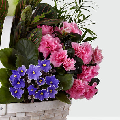 Peaceful Garden Planter – KAY'S FLORAL AFFAIR, Monett MO