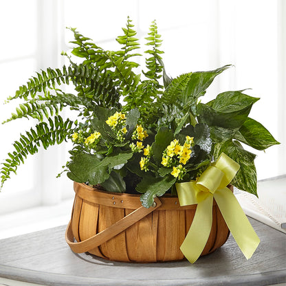 Always Dear Dishgarden – KAY'S FLORAL AFFAIR, Monett MO