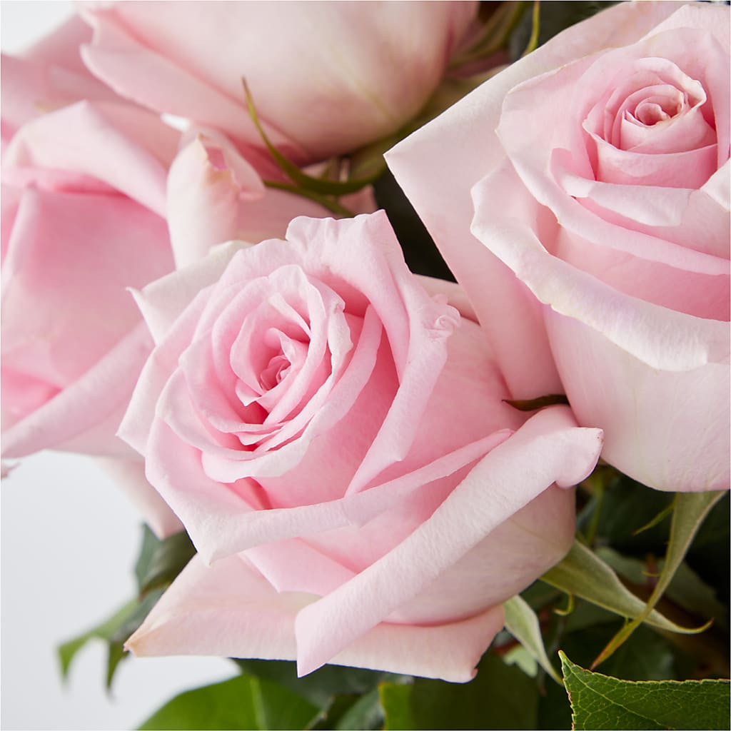 Picture Perfect Pink Rose Bouquet – KAY'S FLORAL AFFAIR, Monett MO