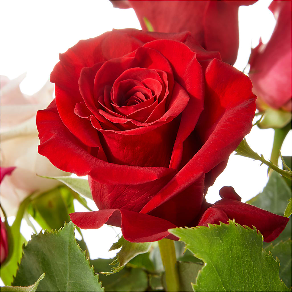 Love Notes Rose Bouquet – KAY'S FLORAL AFFAIR, Monett MO