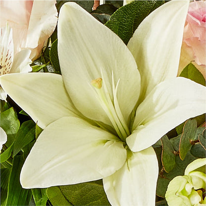 Ballet Slippers Bouquet – KAY'S FLORAL AFFAIR, Monett MO