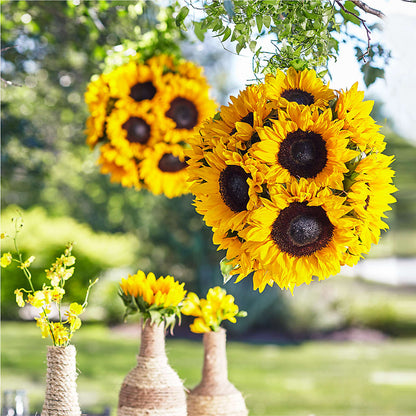 Sublime Garden Hanging Arrangement – KAY'S FLORAL AFFAIR, Monett MO